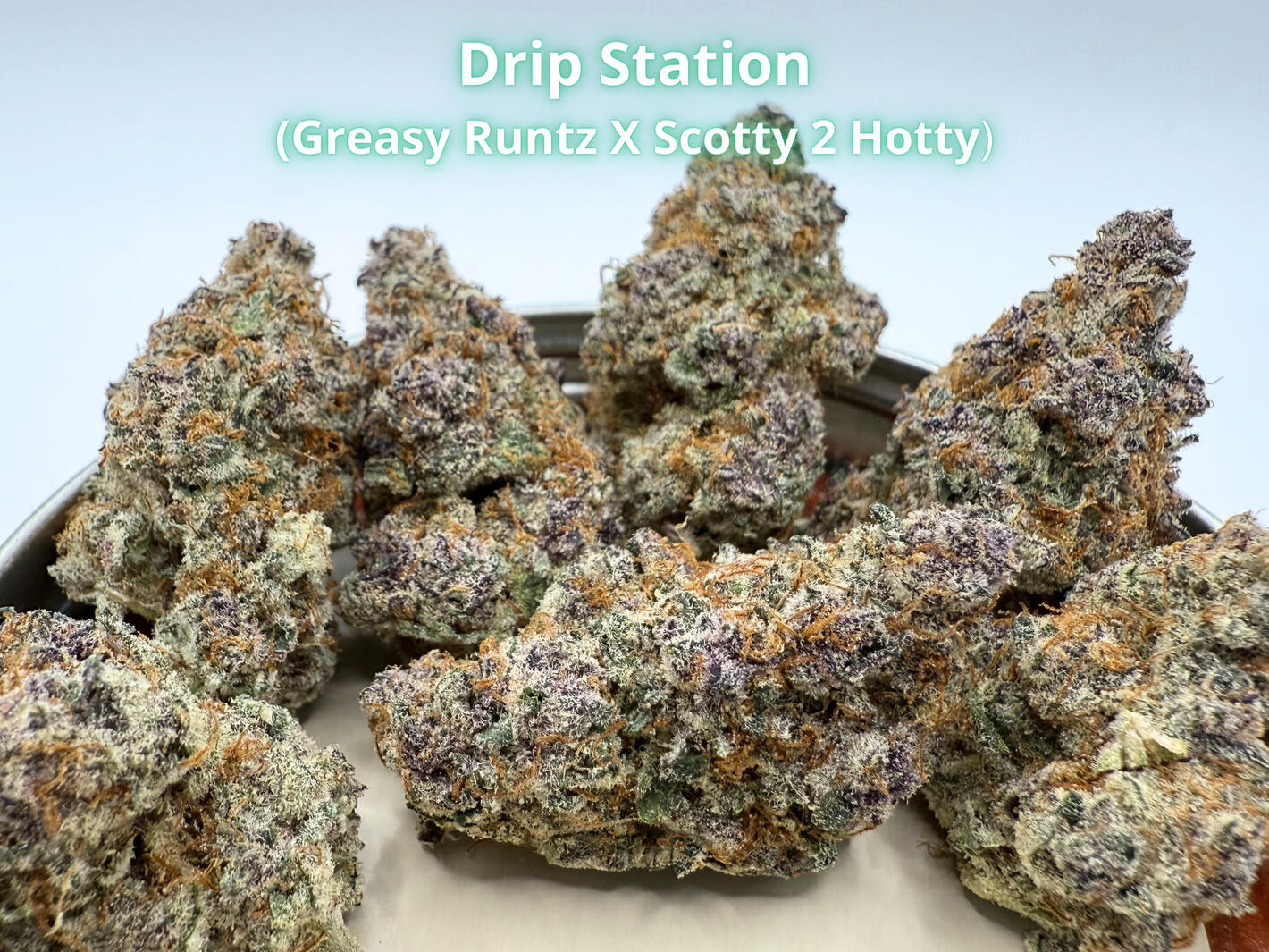 Premium Drip Station THCa hemp flower